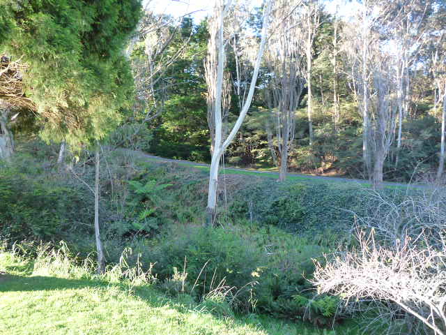 The Gully, Katoomba